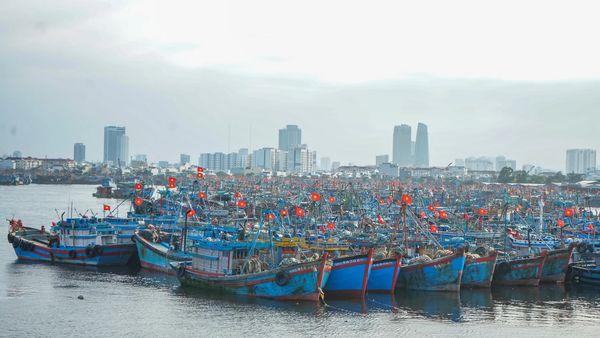 Where to Buy Fresh Seafood in Da Nang: A Market Guide